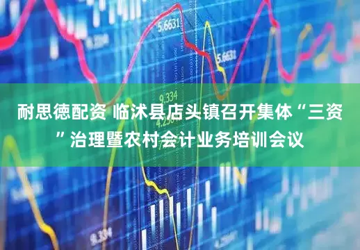 耐思徳配资 临沭县店头镇召开集体“三资”治理暨农村会计业务培训会议